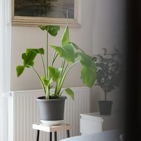 71m2 Superior Z Tarasem, Ogrodkiem I Widokiem Na Gory, Zachod Slonca, Parking - - Przyjaciol Ziemi Klodzkiej, Centrum Kotlina Klodzka *