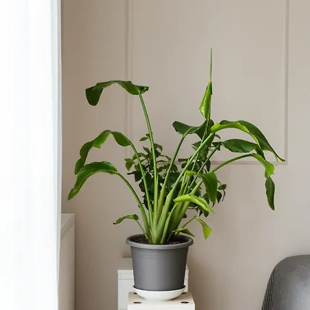 71m2 Superior Z Tarasem, Ogrodkiem I Widokiem Na Gory, Zachod Slonca, Parking - - Przyjaciol Ziemi Klodzkiej, Centrum Kotlina Klodzka Appartamento *