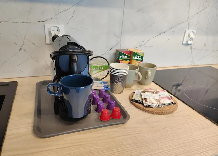 71m2 Superior Z Tarasem, Ogródkiem I Widokiem Na Góry, Zachód Słońca, Parking - - Przyjaciół Ziemi Kłodzkiej, Centrum Kotlina Kłodzka *